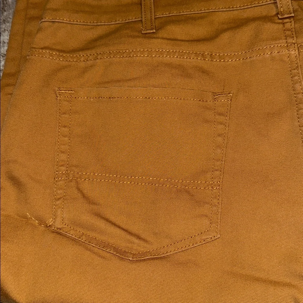 Dickies Flex Tan Pants-size 40x32